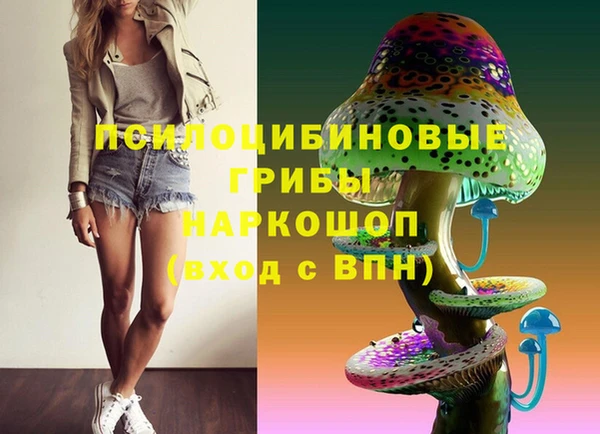 индика Белоозёрский